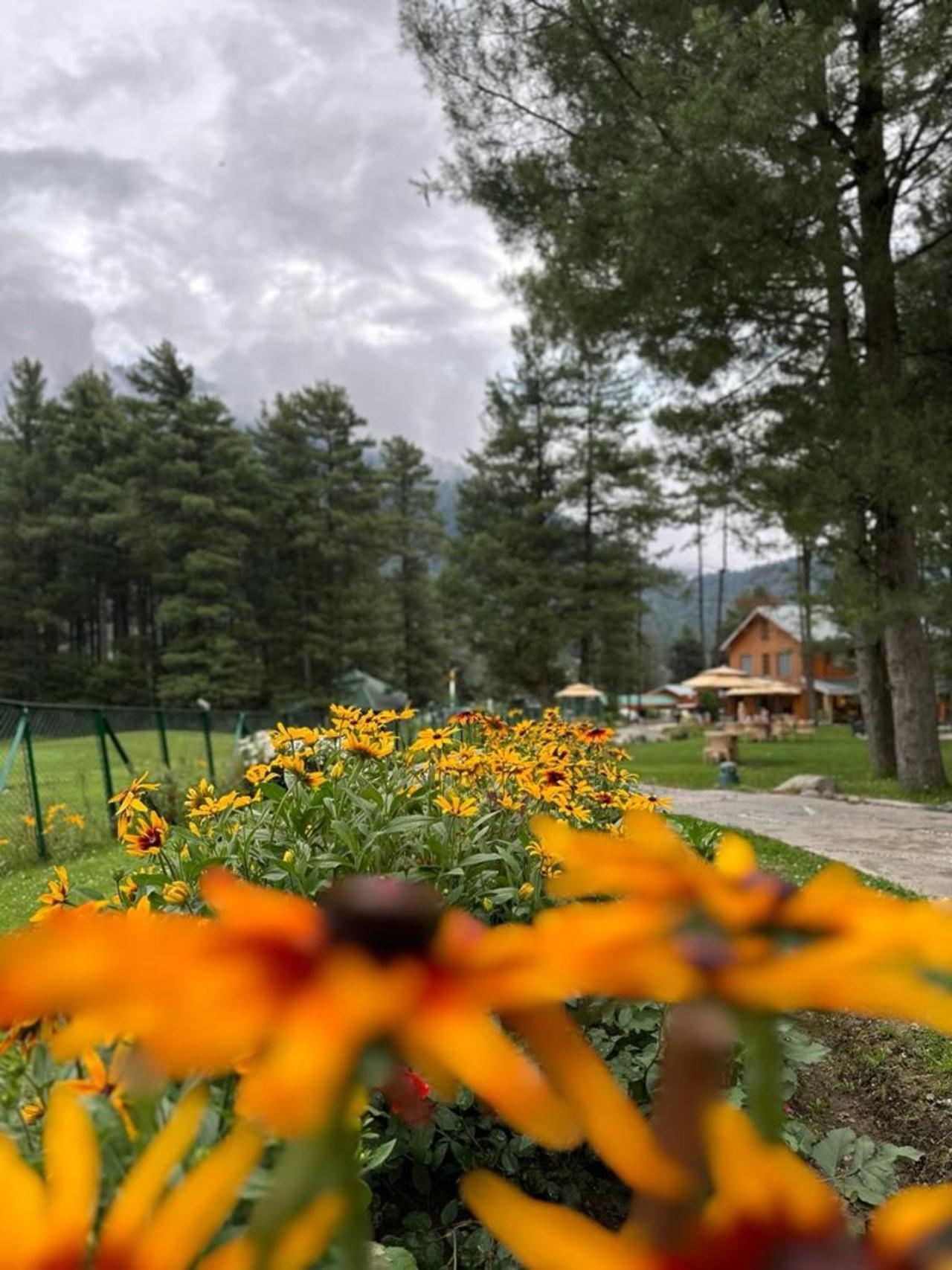 Radisson Golf Resort Pahalgām Dış mekan fotoğraf